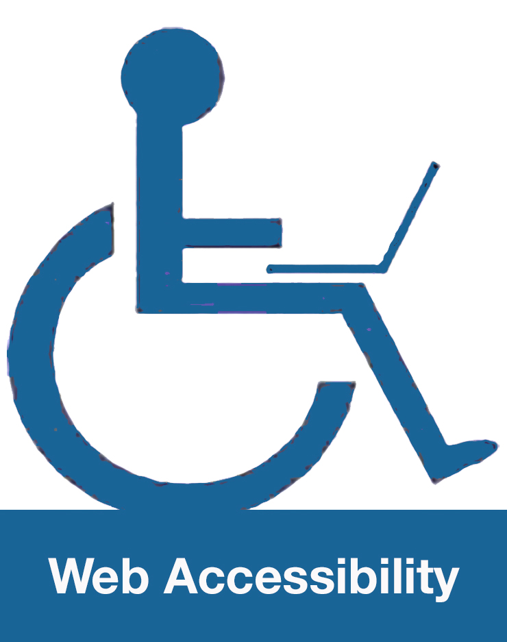 Miami Juice Web Accessibility